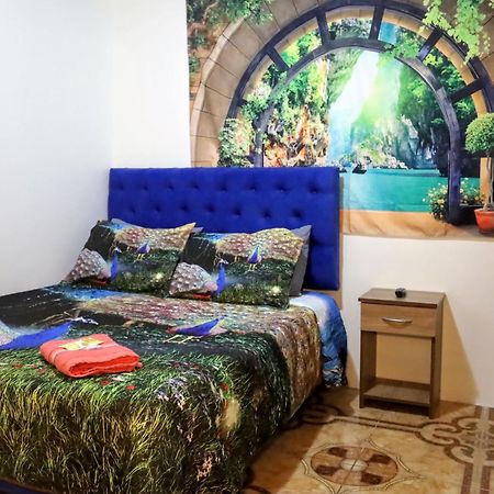 ホテル El Valle カラマ エクステリア 写真